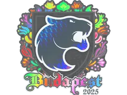 Sticker | FURIA (Holo) | Budapest 2025