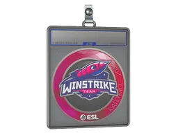 Sticker Slab | Winstrike Team | Katowice 2019