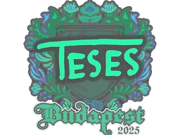 Sticker | TeSeS | Budapest 2025