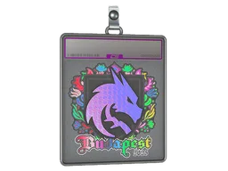 Sticker Slab | Team Spirit (Holo) | Budapest 2025