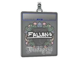 Sticker Slab | FalleN | Budapest 2025