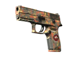 P250 | Red Rock