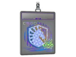 Sticker Slab | Liquid (Holo) | 2020 RMR