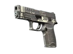 P250 | Re.built