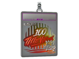 Sticker Slab | 100 Thieves (Foil) | 2020 RMR
