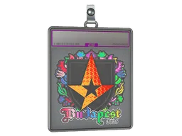 Sticker Slab | Astralis (Holo) | Budapest 2025