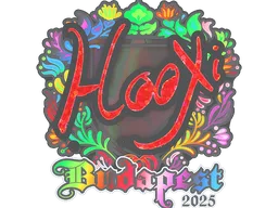 Sticker | HooXi (Holo) | Budapest 2025