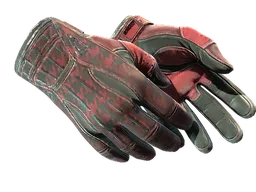 ★ Sport Gloves | Scarlet Shamagh