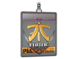 Sticker Slab | Fnatic (Foil) | Krakow 2017