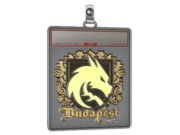 Sticker Slab | Team Spirit (Gold) | Budapest 2025