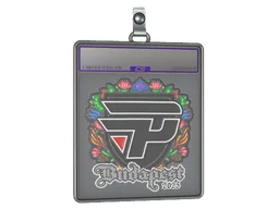 Sticker Slab | paiN Gaming (Embroidered) | Budapest 2025