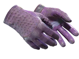 ★ Driver Gloves | Plum Quill