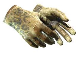 ★ Driver Gloves | Queen Jaguar