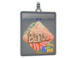 Sticker Slab | bLitz | Rio 2022