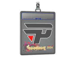 Sticker Slab | paiN Gaming | Shanghai 2024
