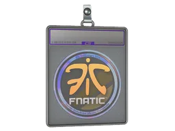 Sticker Slab | Fnatic (Holo) | Cologne 2014