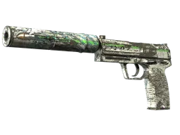 USP-S | Road Rash
