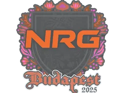 Sticker | NRG | Budapest 2025
