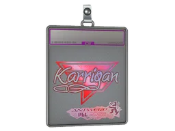 Sticker Slab | karrigan (Holo) | Antwerp 2022