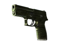 P250 | Iron Clad