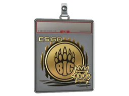 Sticker Slab | BIG (Gold) | 2020 RMR