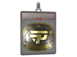 Sticker Slab | paiN Gaming (Gold) | Austin 2025