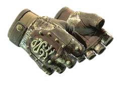 ★ Hydra Gloves | Rattler
