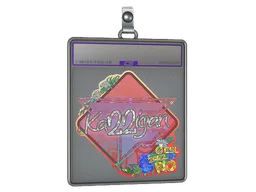 Sticker Slab | karrigan (Glitter) | Rio 2022