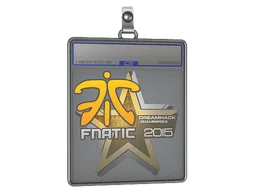 Sticker Slab | Fnatic | Cluj-Napoca 2015
