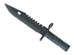 ★ M9 Bayonet | Night