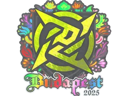 Sticker | Ninjas in Pyjamas (Holo) | Budapest 2025