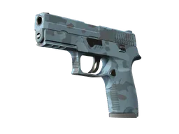 P250 | Forest Night
