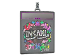 Sticker Slab | insani (Holo) | Budapest 2025