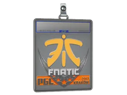 Sticker Slab | Fnatic | Krakow 2017