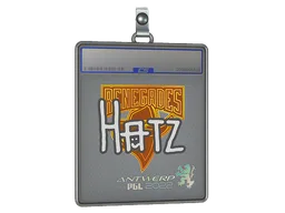 Sticker Slab | hatz | Antwerp 2022