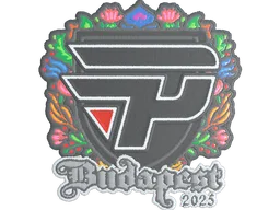 Sticker | paiN Gaming (Embroidered) | Budapest 2025