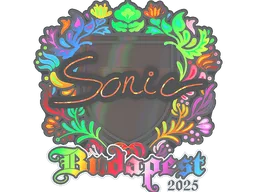 Sticker | Sonic (Holo) | Budapest 2025