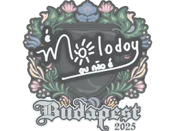 Sticker | molodoy | Budapest 2025
