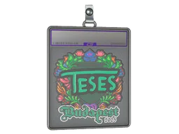 Sticker Slab | TeSeS (Embroidered) | Budapest 2025