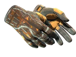 ★ Sport Gloves | Big Game
