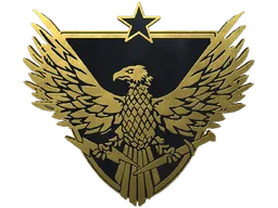 Brigadier General Pin