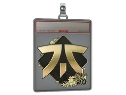 Sticker Slab | Fnatic (Gold) | Rio 2022