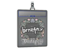 Sticker Slab | brnz4n | Budapest 2025
