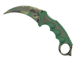 ★ Karambit | Boreal Forest