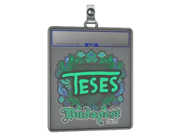 Sticker Slab | TeSeS | Budapest 2025