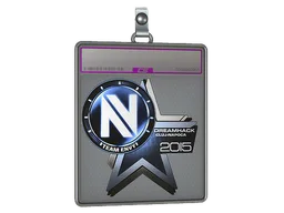 Sticker Slab | Team EnVyUs (Foil) | Cluj-Napoca 2015