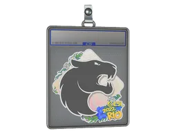 Sticker Slab | FURIA | Rio 2022
