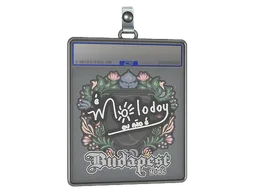Sticker Slab | molodoy | Budapest 2025