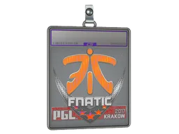 Sticker Slab | Fnatic (Holo) | Krakow 2017