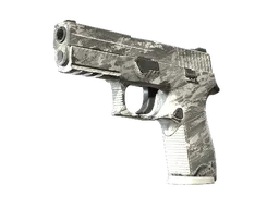 P250 | Sleet